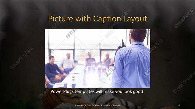 Picture with Caption presentation slide layout