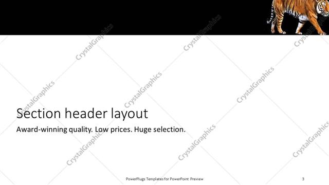 Section Header presentation slide layout