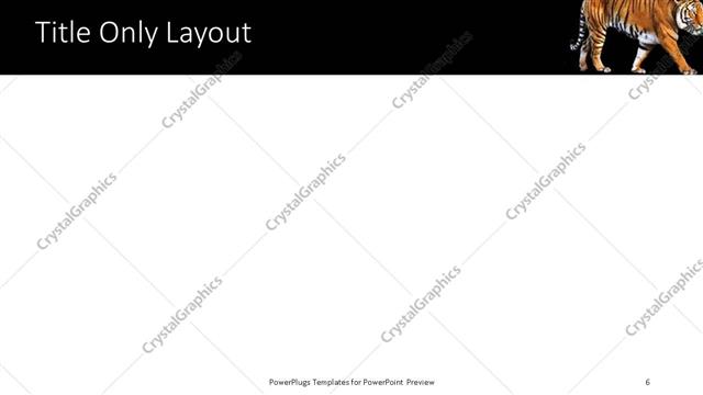 Title Only presentation slide layout