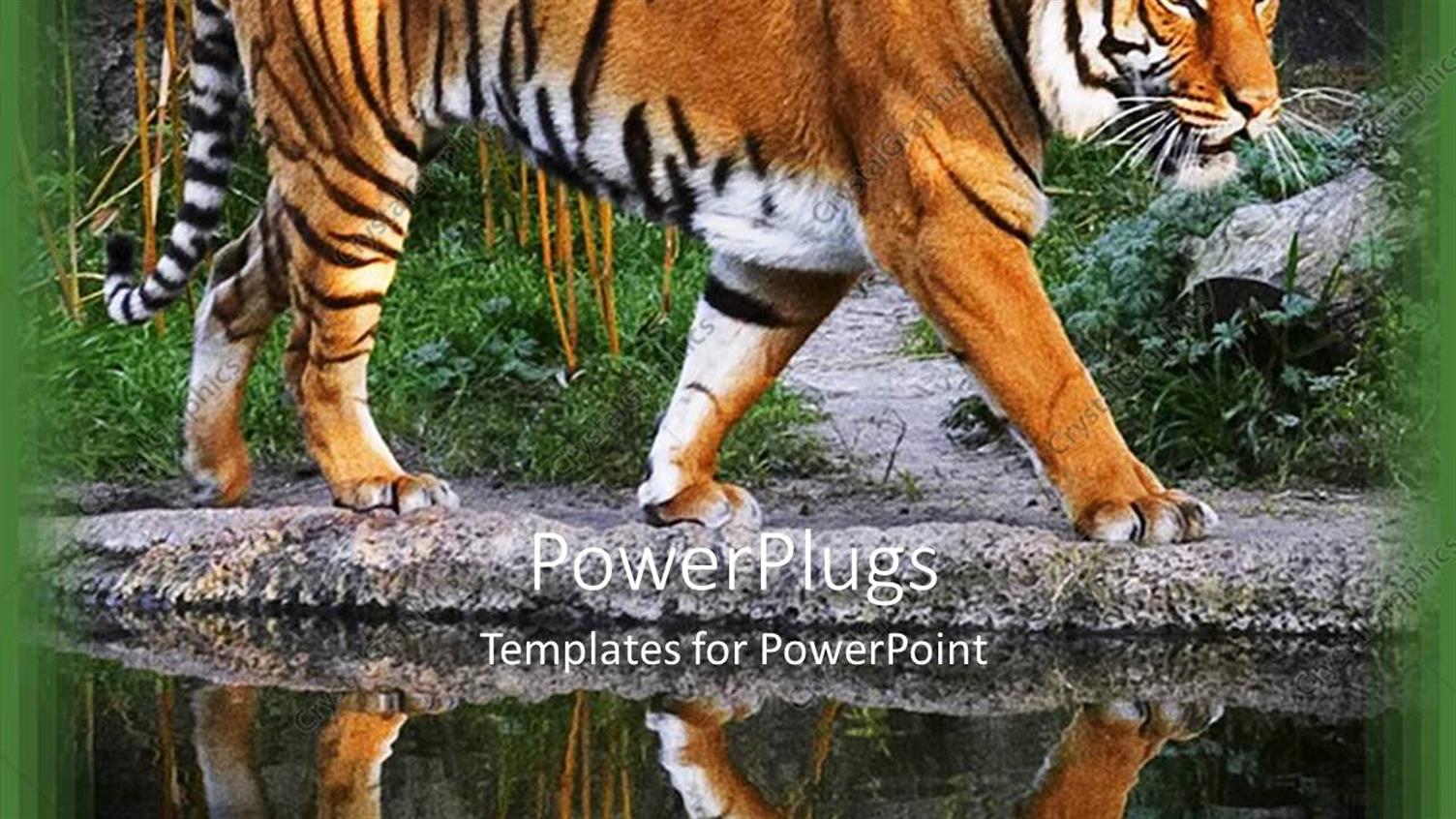 Premium Template for PowerPoint & Google Slides 