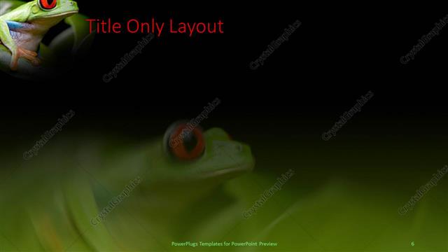 Title Only presentation slide layout