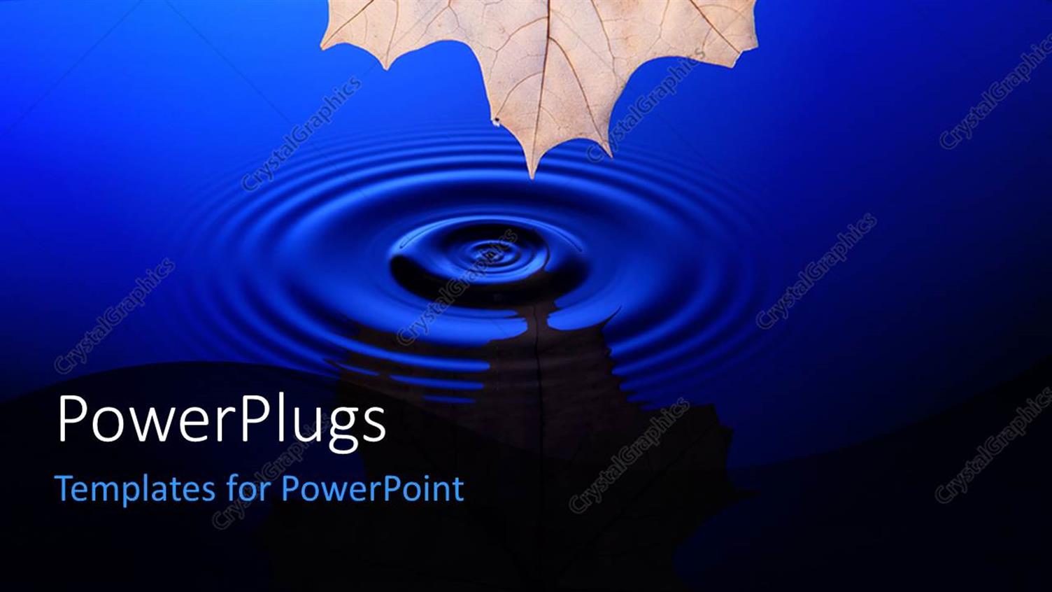 Premium Template for PowerPoint & Google Slides 