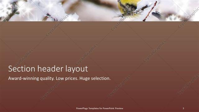 Section Header presentation slide layout