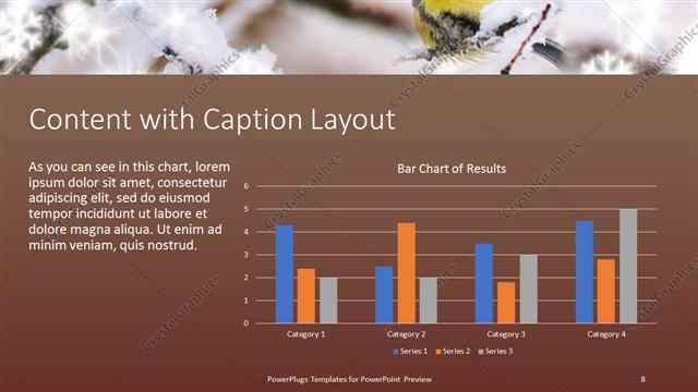 Content with Caption presentation slide layout