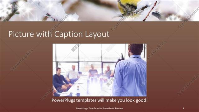Picture with Caption presentation slide layout