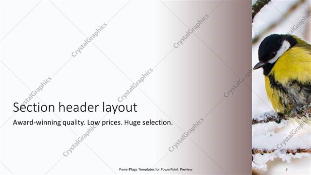 Section Header presentation slide layout