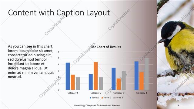 Content with Caption presentation slide layout