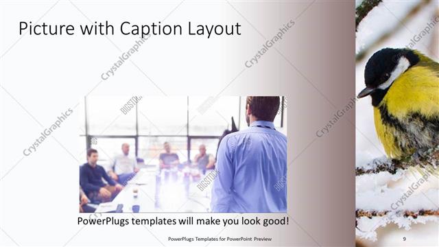 Picture with Caption presentation slide layout