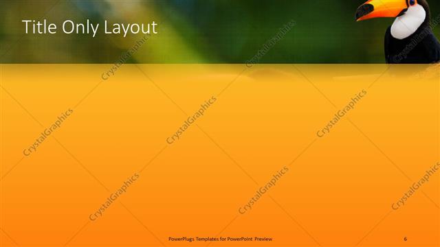 Title Only presentation slide layout