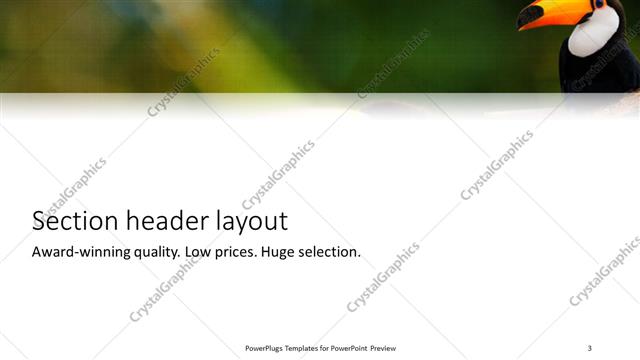 Section Header presentation slide layout