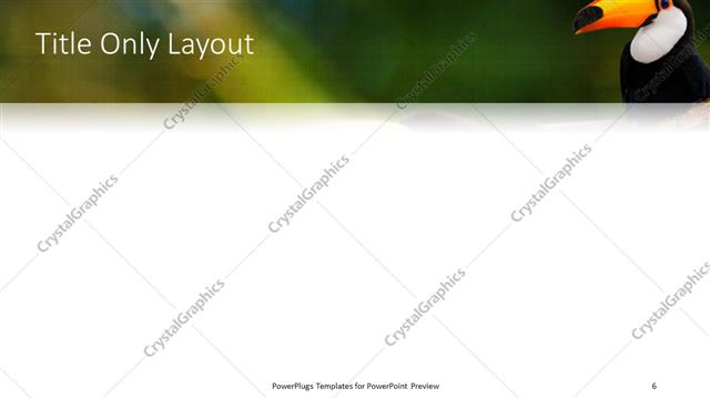 Title Only presentation slide layout