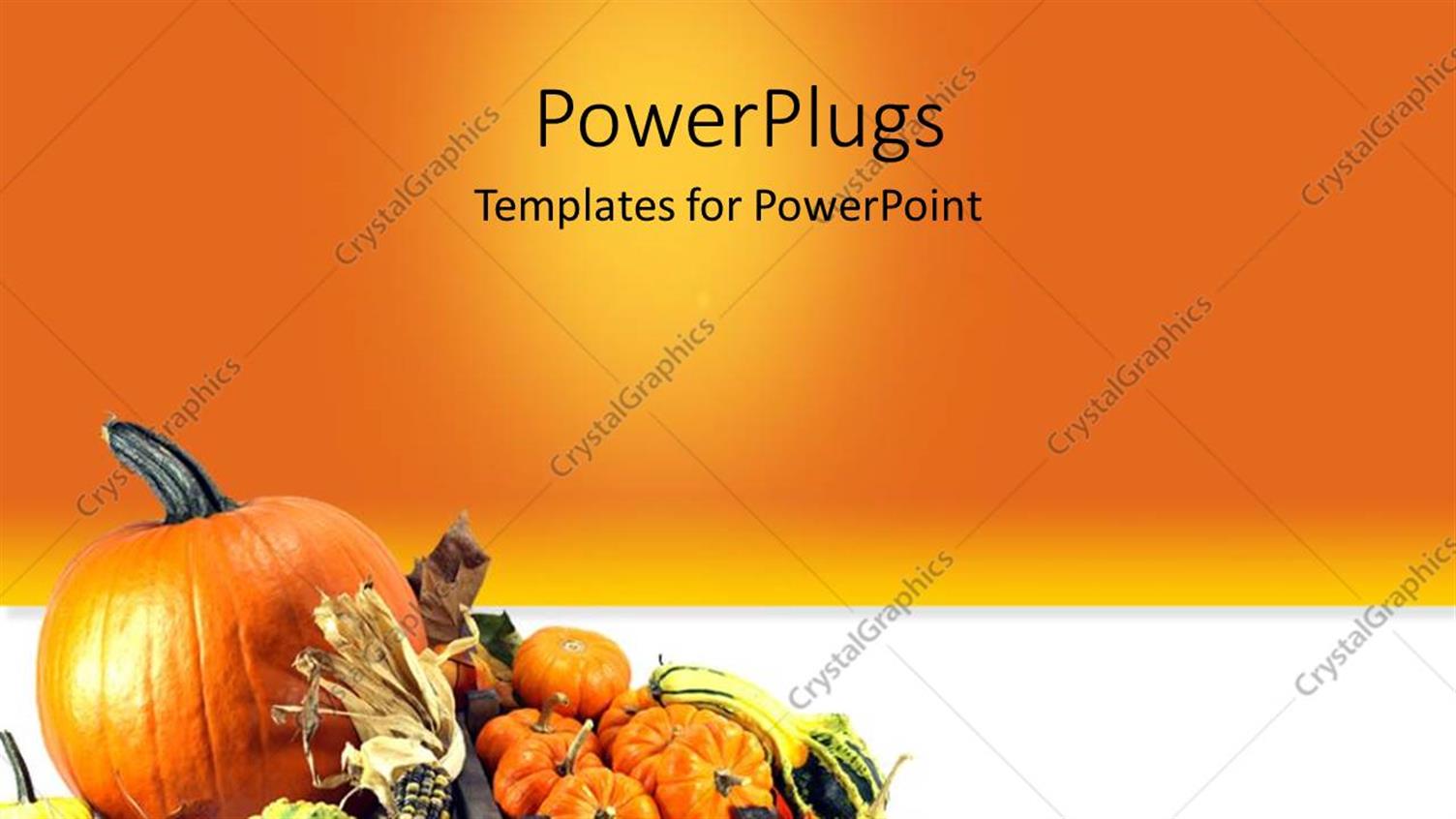 Featuring Traditional Symbols of Thanksgiving Day Pumpkins Over Orange Background