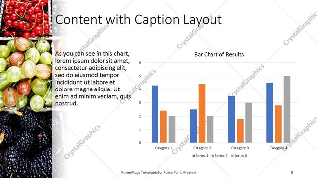 Content with Caption presentation slide layout