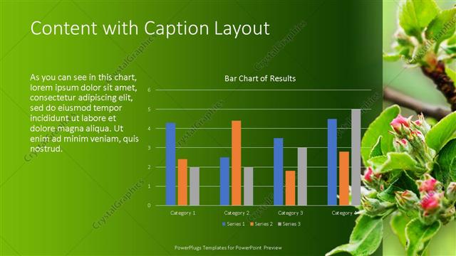 Content with Caption presentation slide layout