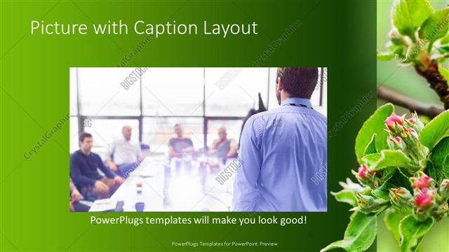 Picture with Caption presentation slide layout