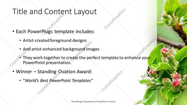 Title and Content presentation slide layout