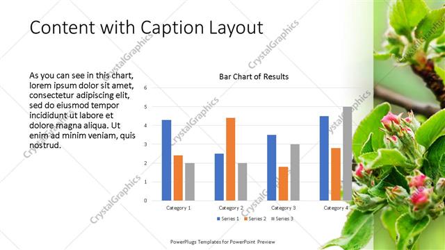 Content with Caption presentation slide layout