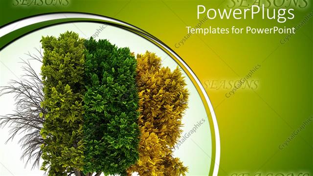  Presentation with four seasons - A tree depicting the effect of Four different seasons