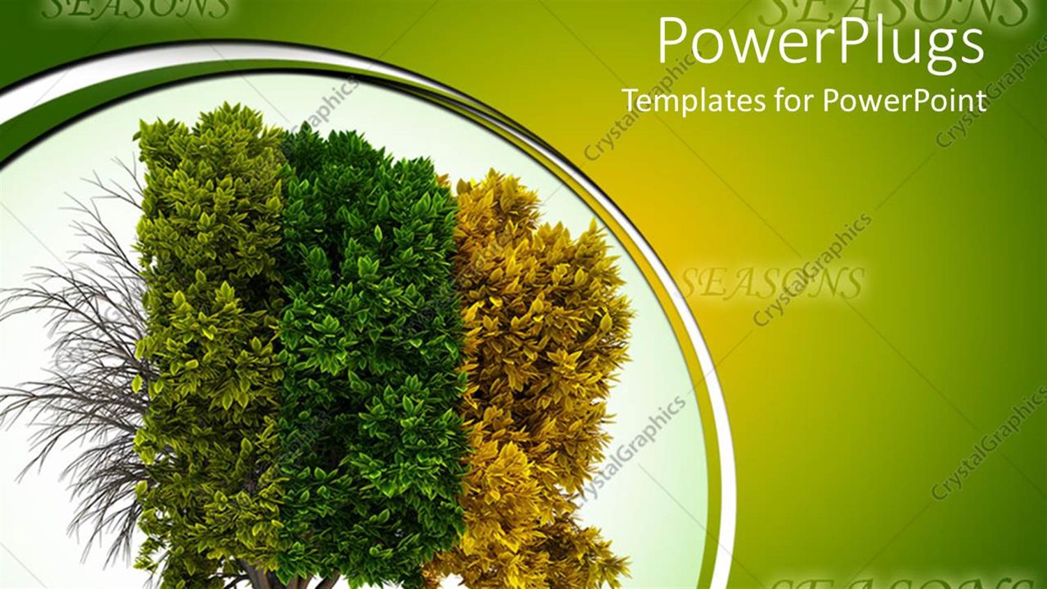 Premium Template for PowerPoint & Google Slides 