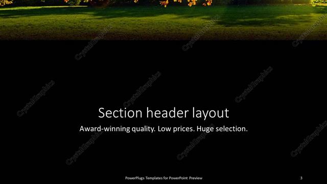 Section Header presentation slide layout