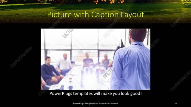 Picture with Caption presentation slide layout