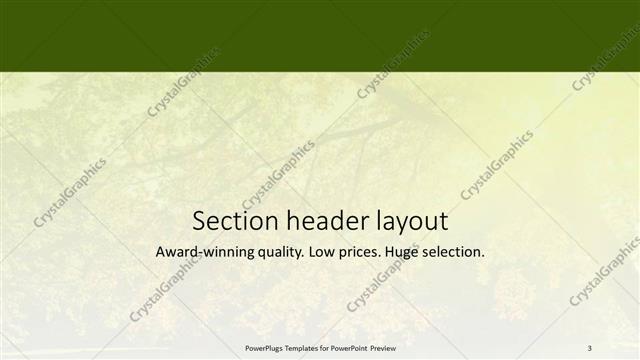 Section Header presentation slide layout