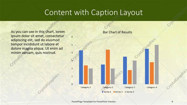 Content with Caption presentation slide layout