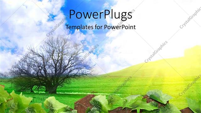  Presentation with scene - A tree with some leaves on a plain field and shinning sun