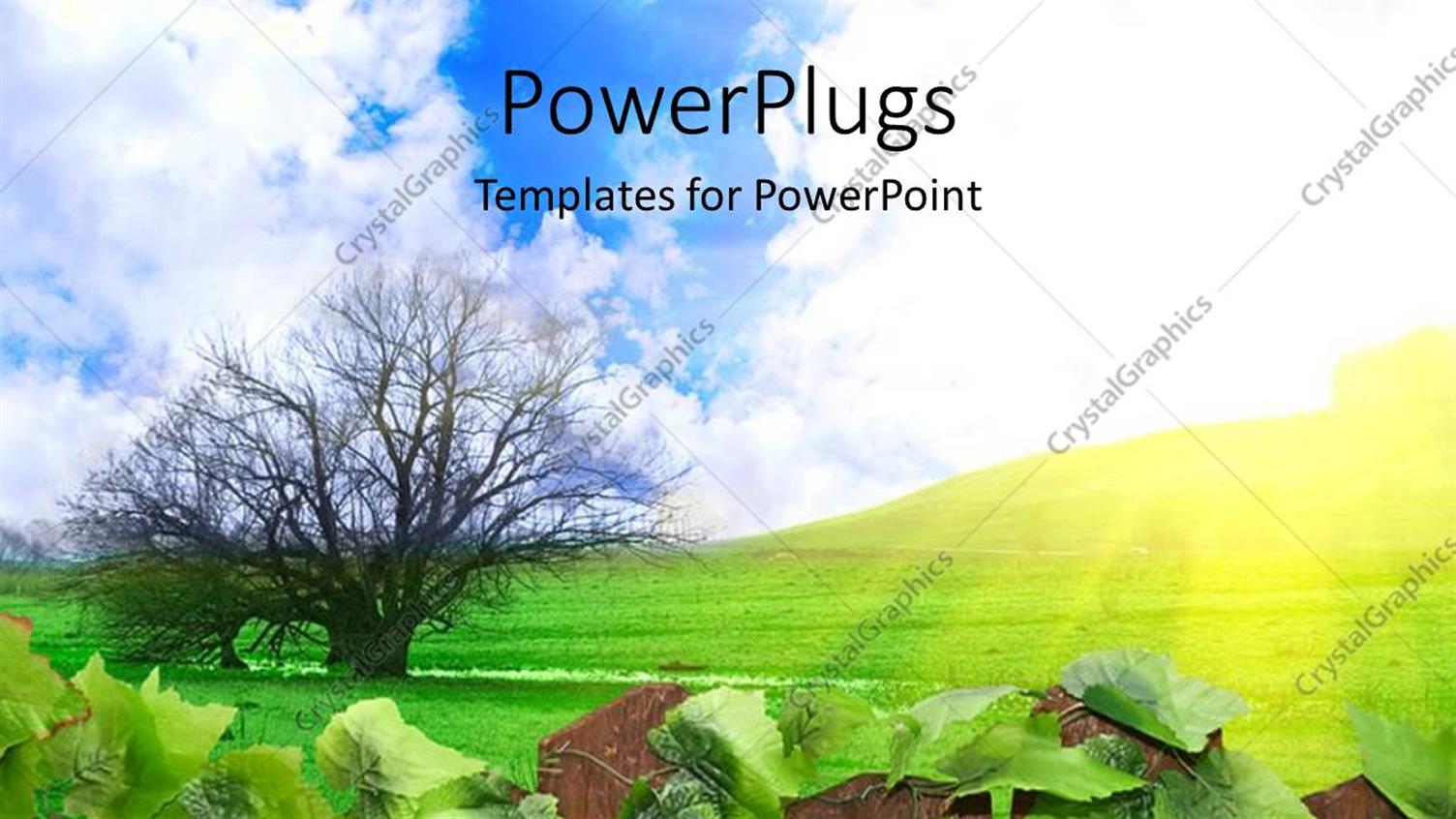 Premium Template for PowerPoint & Google Slides 