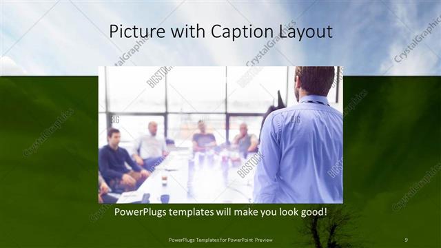 Picture with Caption presentation slide layout