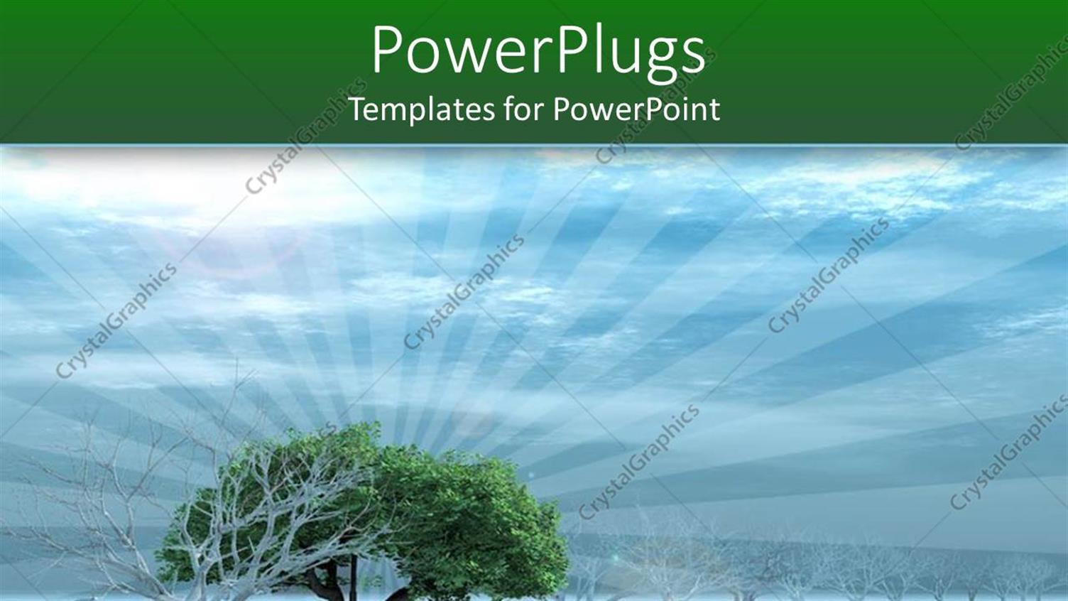 Premium Template for PowerPoint & Google Slides 