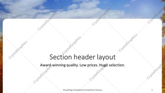 Section Header presentation slide layout