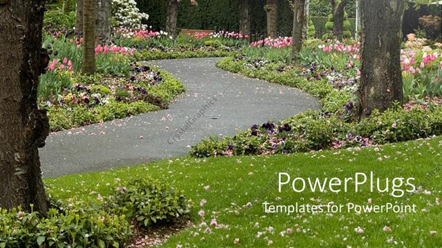  Presentation with flowers - Trees in blossom and pink flowers on green grass with paved pathway