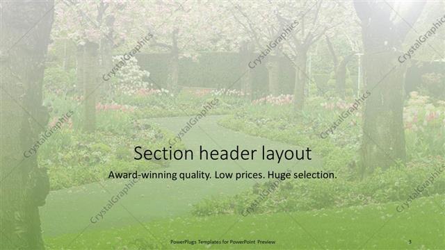 Section Header presentation slide layout