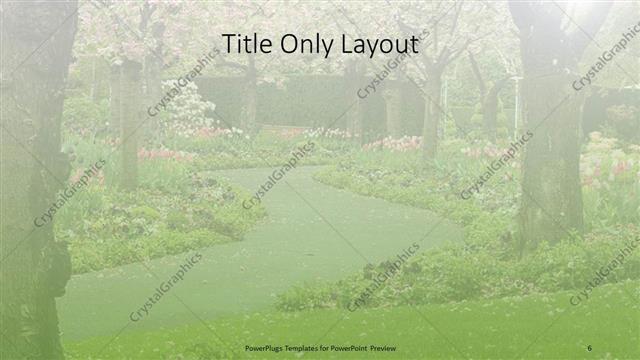 Title Only presentation slide layout