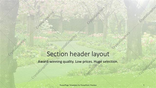 Section Header presentation slide layout