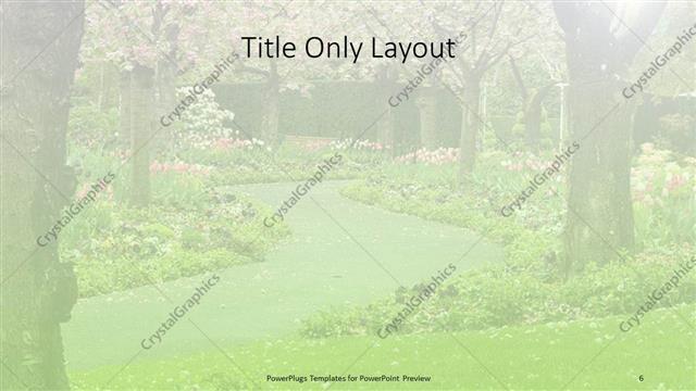 Title Only presentation slide layout