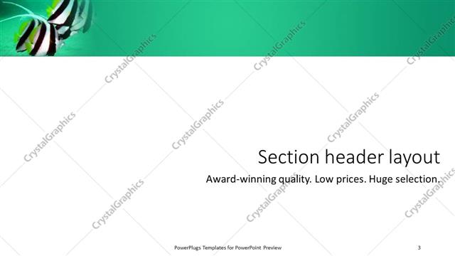 Section Header presentation slide layout