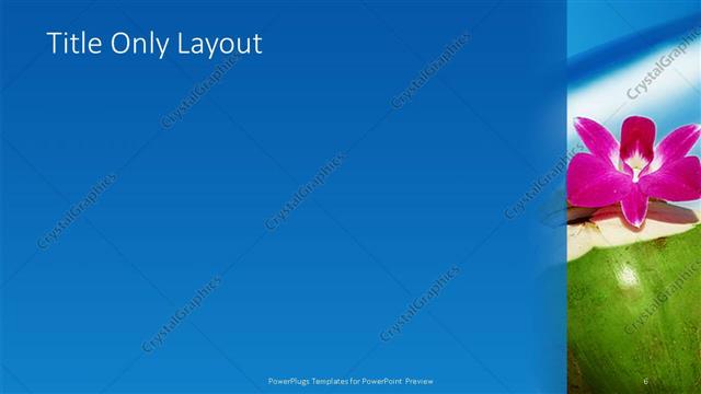 Title Only presentation slide layout