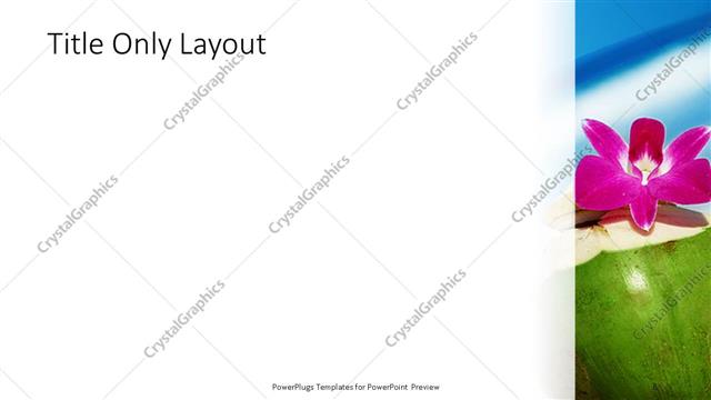 Title Only presentation slide layout