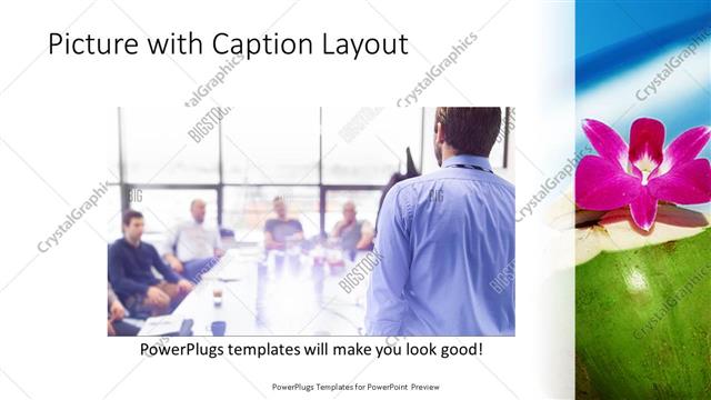 Picture with Caption presentation slide layout