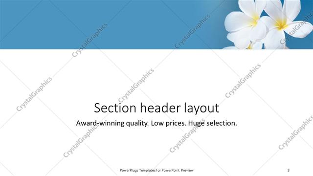 Section Header presentation slide layout