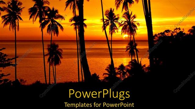  Presentation with tropical - Tropical landscape at sunset with ocean and palm trees