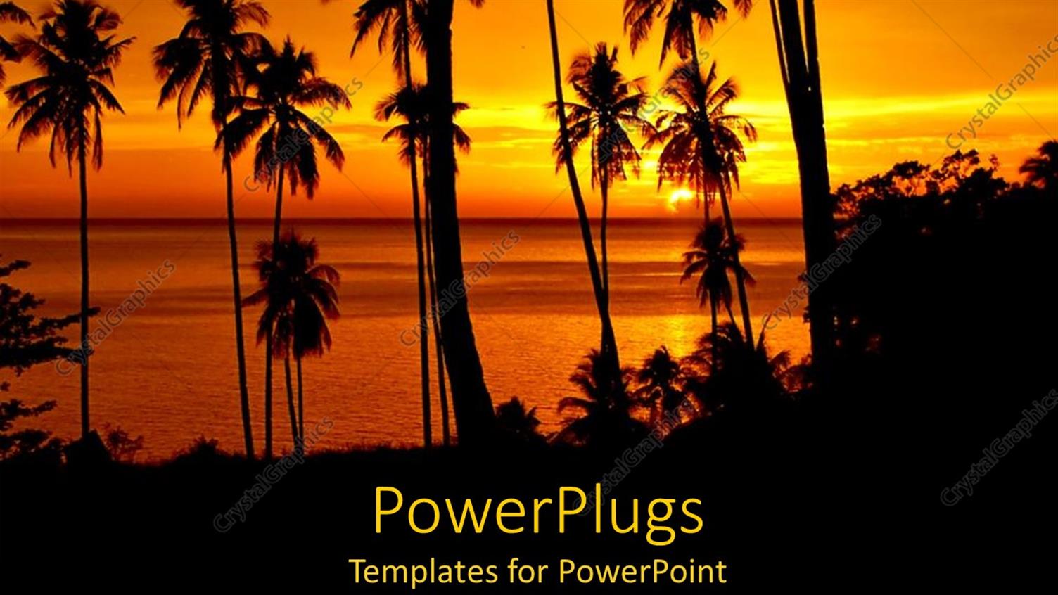 Featuring Tropical Landscape at Sunset with Ocean and Palm Trees