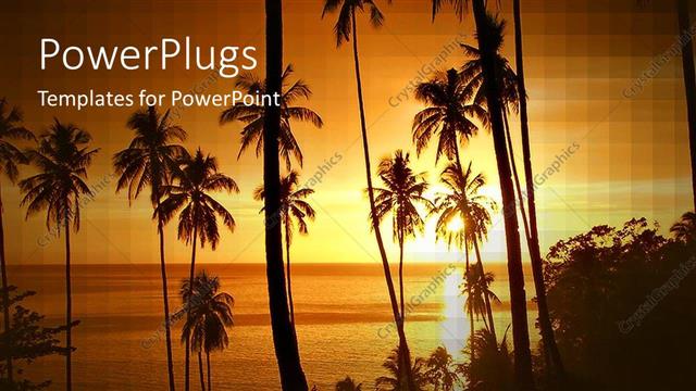  Presentation with tropical holiday - Tropical paradise with palm trees in silhouette at sunset, vacation, travel, holiday, island