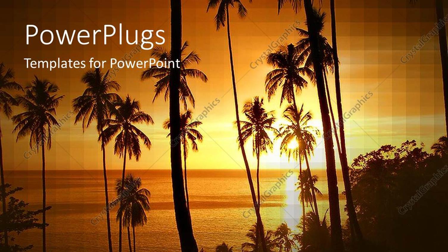 Premium Template for PowerPoint & Google Slides 