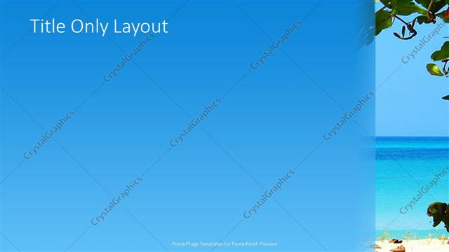 Title Only presentation slide layout