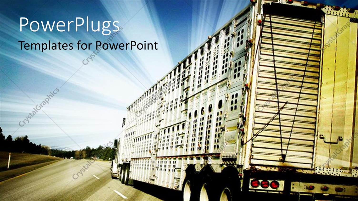 Premium Template for PowerPoint & Google Slides 