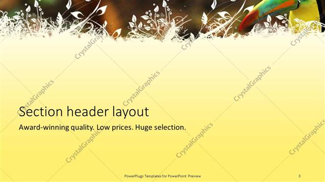 Section Header presentation slide layout