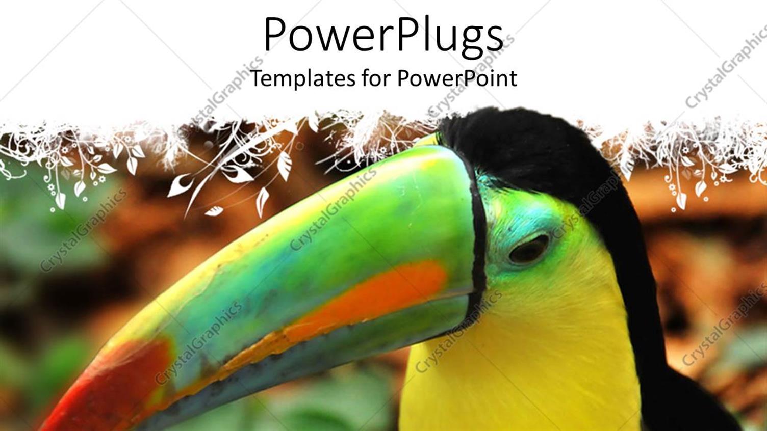 Premium Template for PowerPoint & Google Slides 